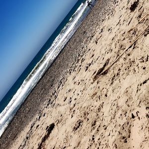 Meet your Posher, Rose